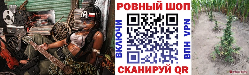 Где продают наркотики Борисоглебск Кокаин  Амфетамин  Мефедрон 