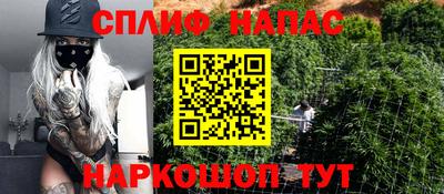 jwh Бийск