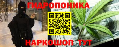 jwh Бийск