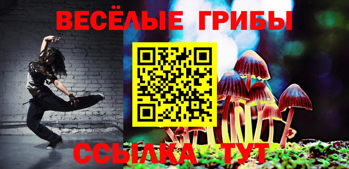 Борисоглебск  сколько стоит  Вход с VPN  Псилоцибиновые грибы Cubensis 