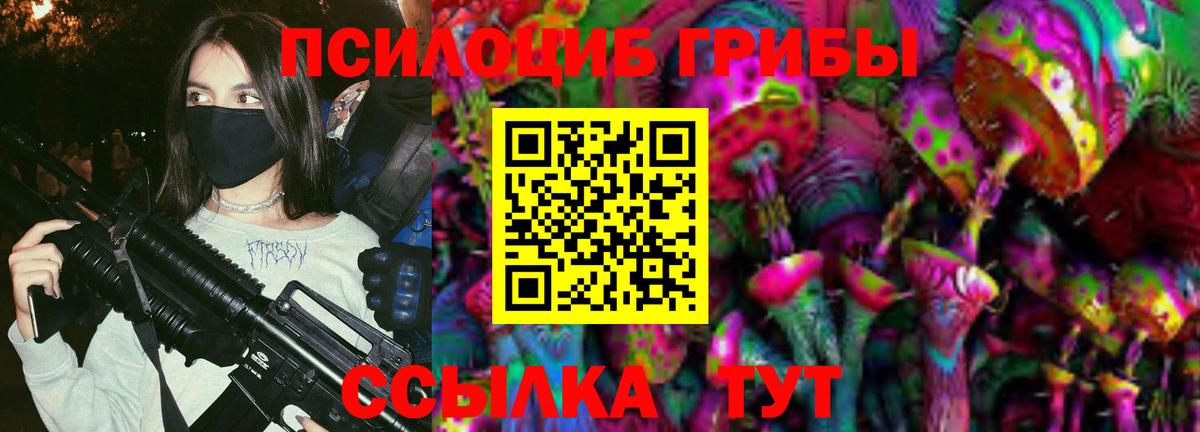 сколько стоит  Борисоглебск  Псилоцибиновые грибы Magic Shrooms 