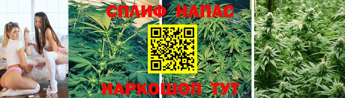 Бошки Шишки Bruce Banner  Борисоглебск  Каннабис LSD WEED  Канабис планчик 